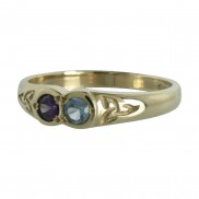 Family Colours 2 Stone Ring - 1302